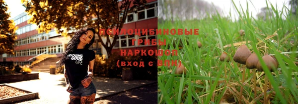 гидропоника Абинск