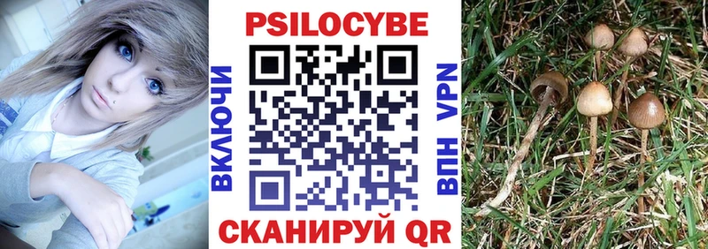 Псилоцибиновые грибы ЛСД  Балаково 